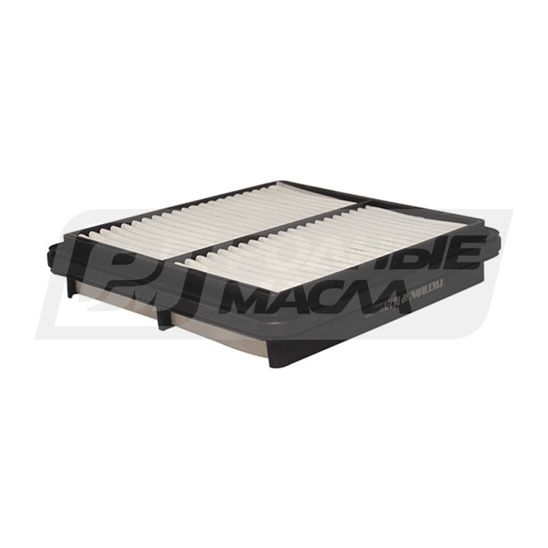 FILTRON AP 082/1 (A-GM 96182220, 5904608010827) AP0821