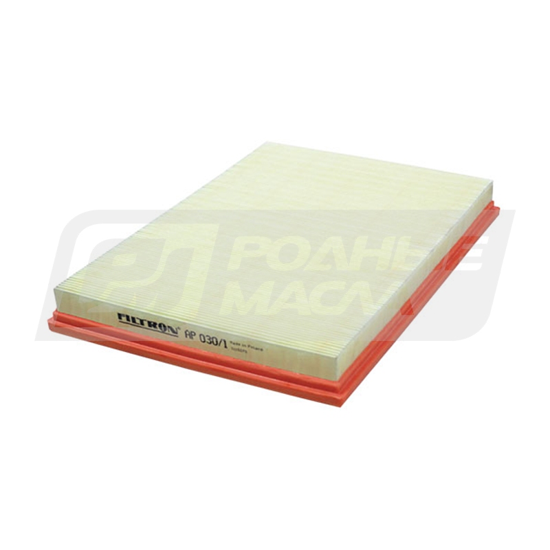 FILTRON AP 030/1 (A-BMW 13717548888, 5904608020307) AP0301
